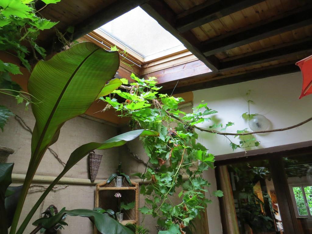 Auberge Du Moulin D'Audenfort Audrehem 外观 照片